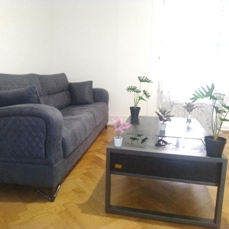 Charming Flat Center And Near The Lake Geneva Exterior foto