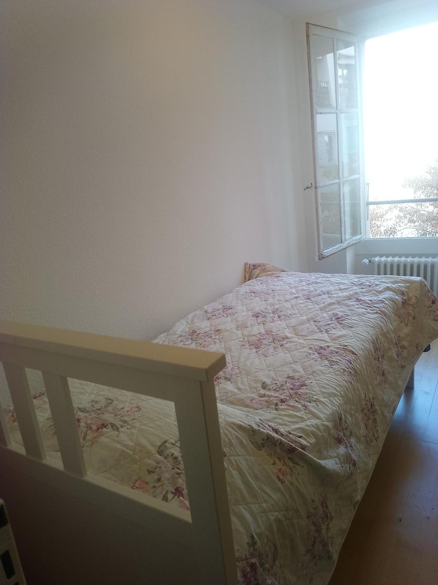 Charming Flat Center And Near The Lake Geneva Exterior foto