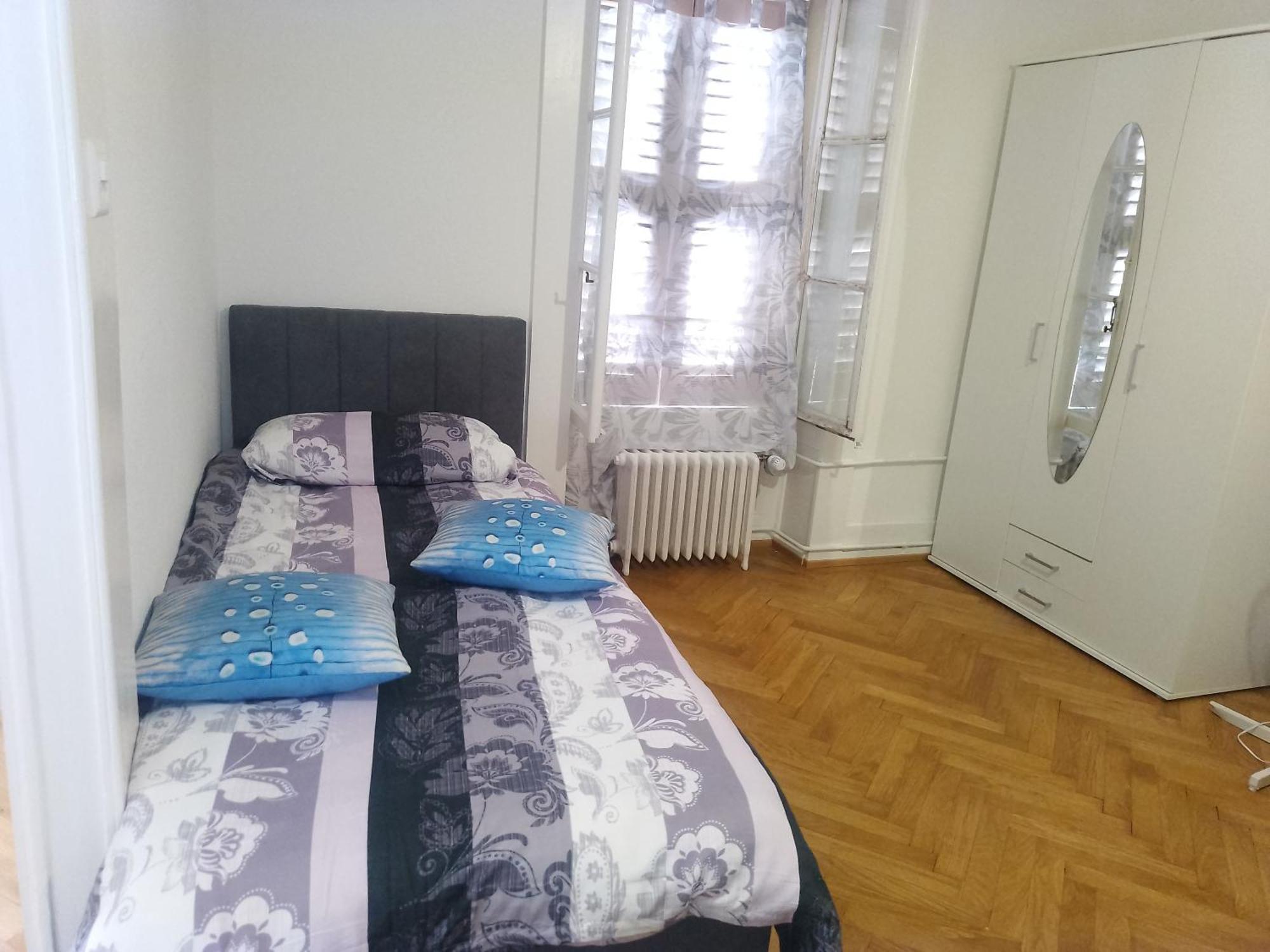 Charming Flat Center And Near The Lake Geneva Exterior foto