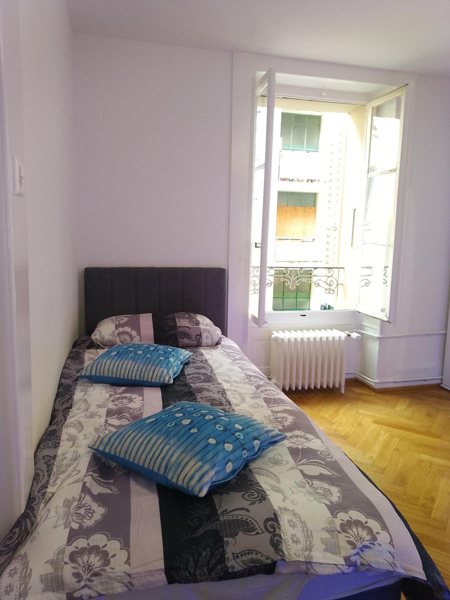 Charming Flat Center And Near The Lake Geneva Exterior foto